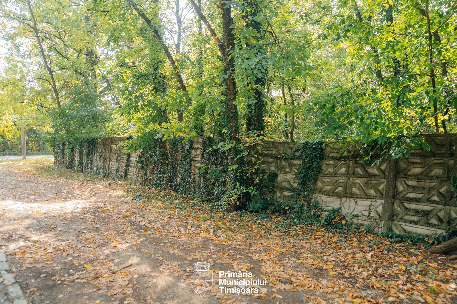 Stpt Strand Zona fostului ștrand al Tineretului din Timișoara, deschisă pentru ...