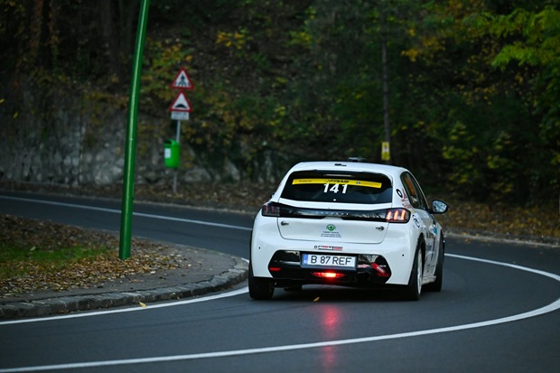 peugeot ref