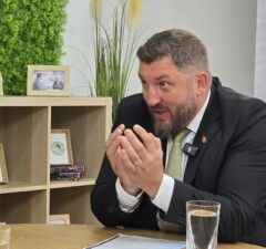 bistrian ovidiu pnl otelu rosu presedinte