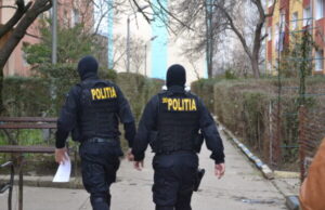 descinderi timis arhiva