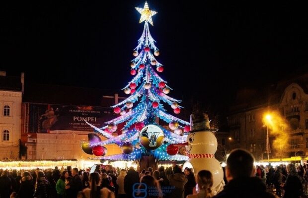 targ craciun timisoara (1)